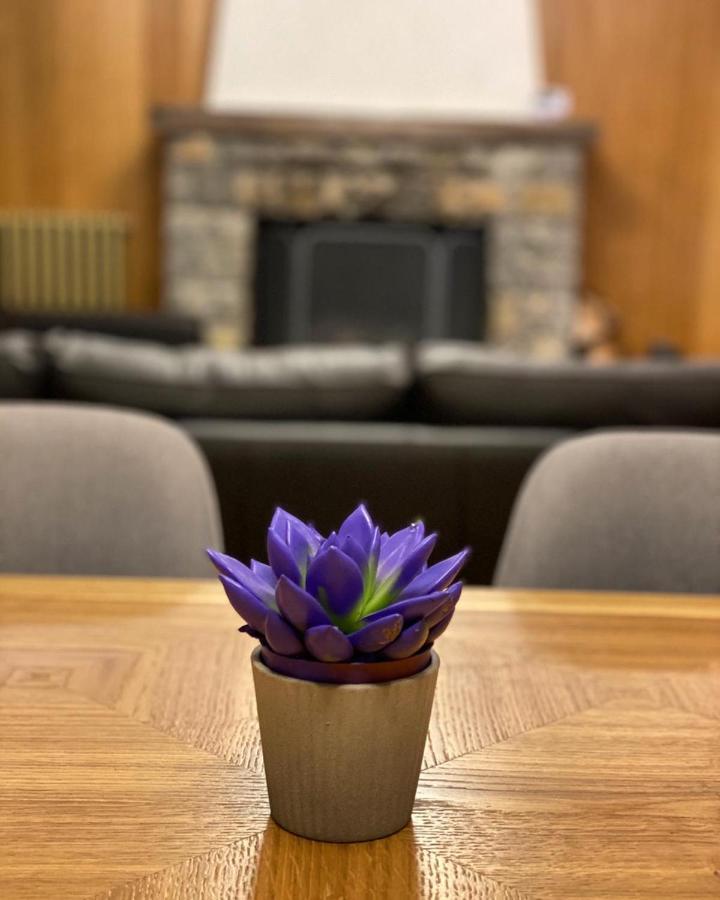 Vila Tara Zabljak  Bagian luar foto